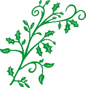Mega Holly Flourish