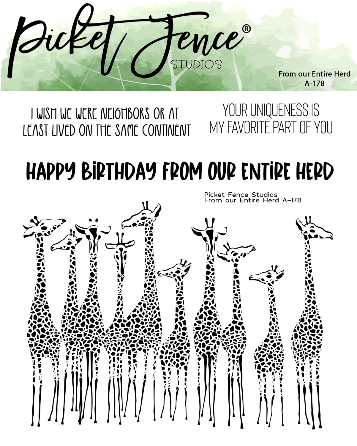 *NEW* - Picket Fence Studios - From our Entire Herd