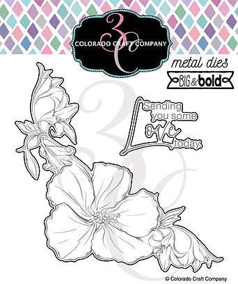 Colorado Craft Company - Big & Bold~Hibiscus Love Die