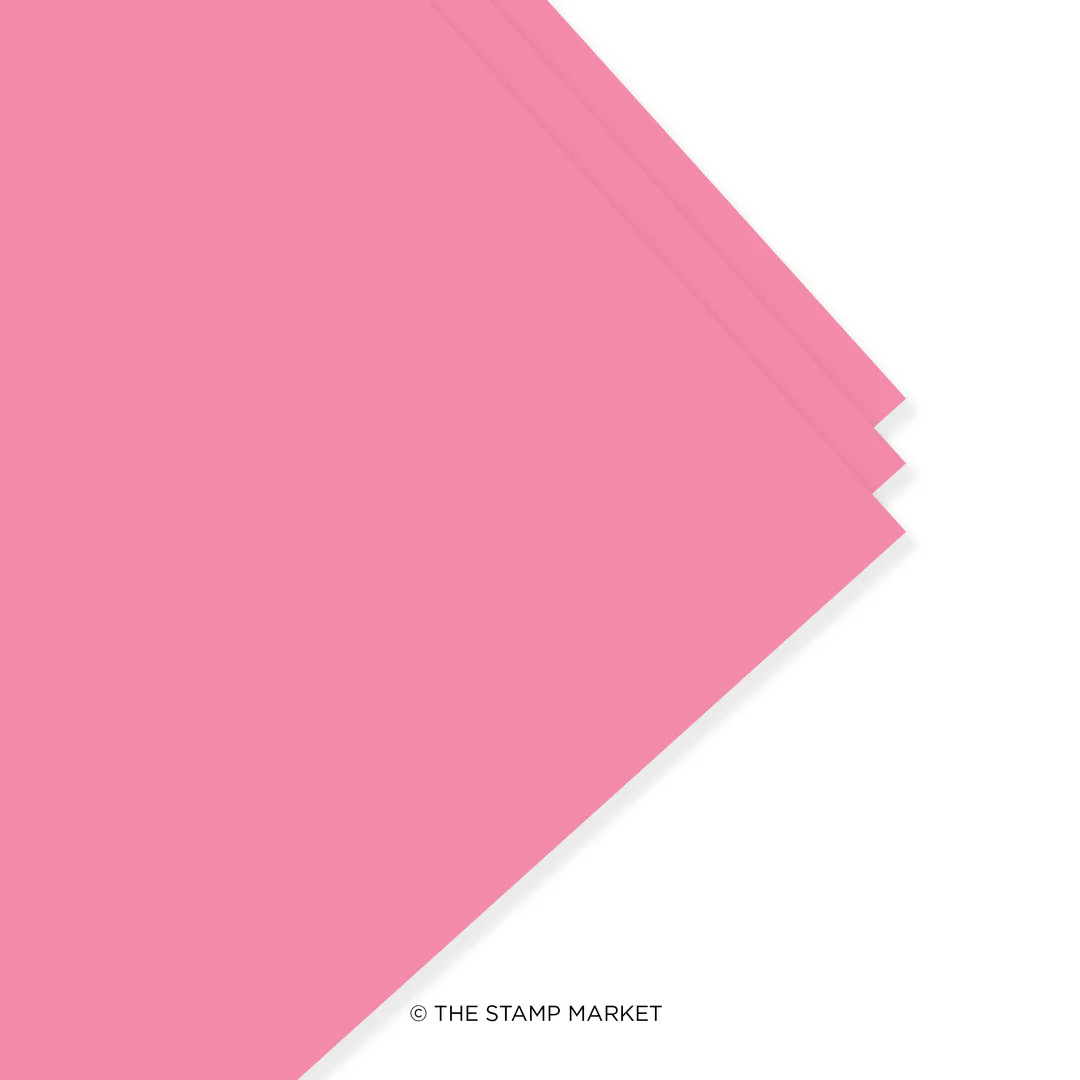 **NEW* - The Stamp Market - FRUIT PUNCH - Cardstock (5 Sheets Each)