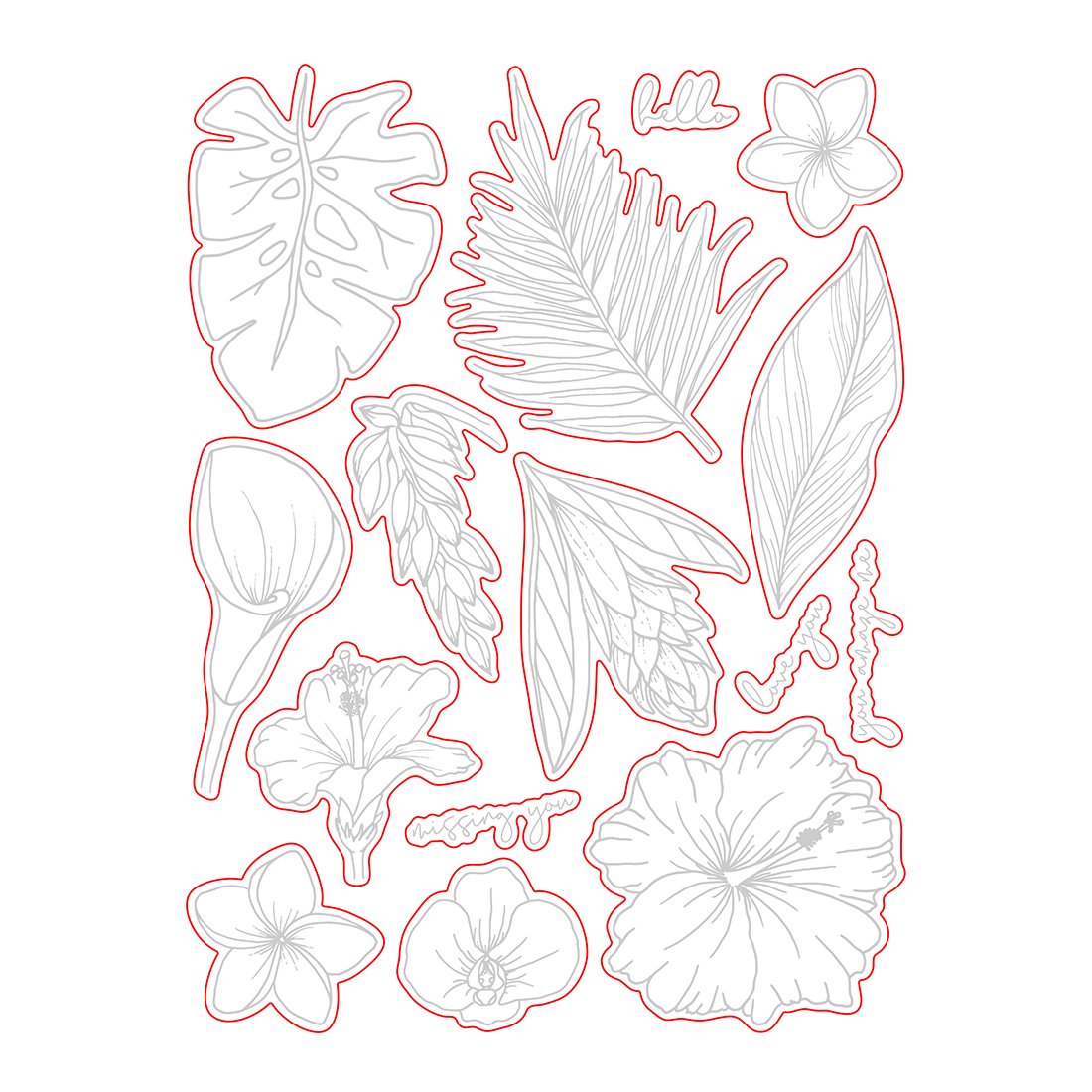 Honey Bee - Paradise Blooms | Honey Cuts