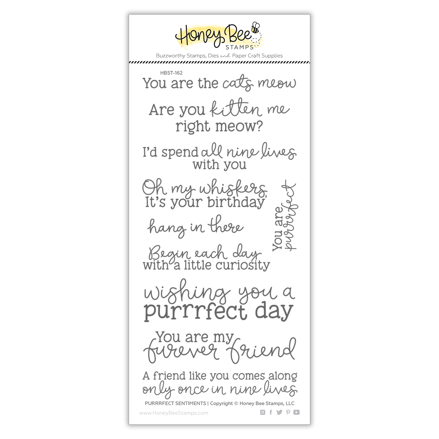 Honey Bee - Purrrfect Sentiments | 4x8 Stamp Set