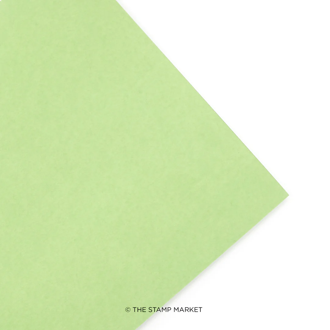 Stamp Market - MEADOW - Cardstock (5 Sheets Each)