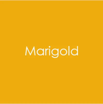 **NEW* - Gina K Designs - Marigold - CARD STOCK 8.5 X 11