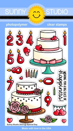 Sunny Studio - Special Day 4x6 Clear Stamps
