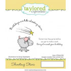 Taylored Expressions - Belated Birthday - Shooting
