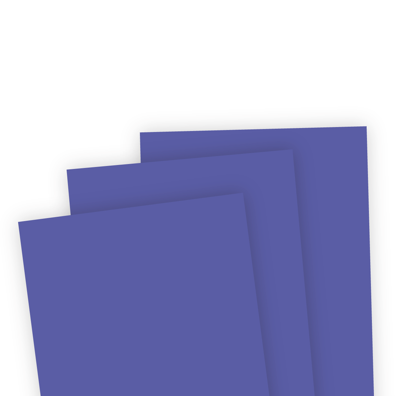 Taylored Expression - TE Premium Cardstock - Concord Grape