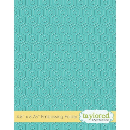 Taylored Expressions- Embossing Folder - Ah-maze-ing
