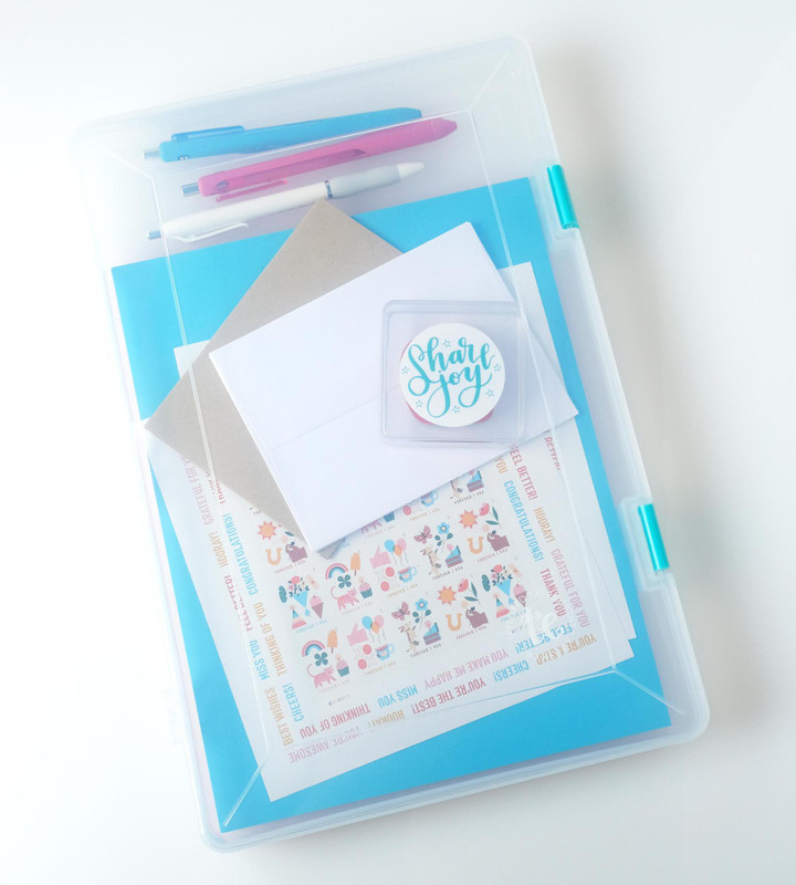 Taylored Expression - Simple Storage - Large Case