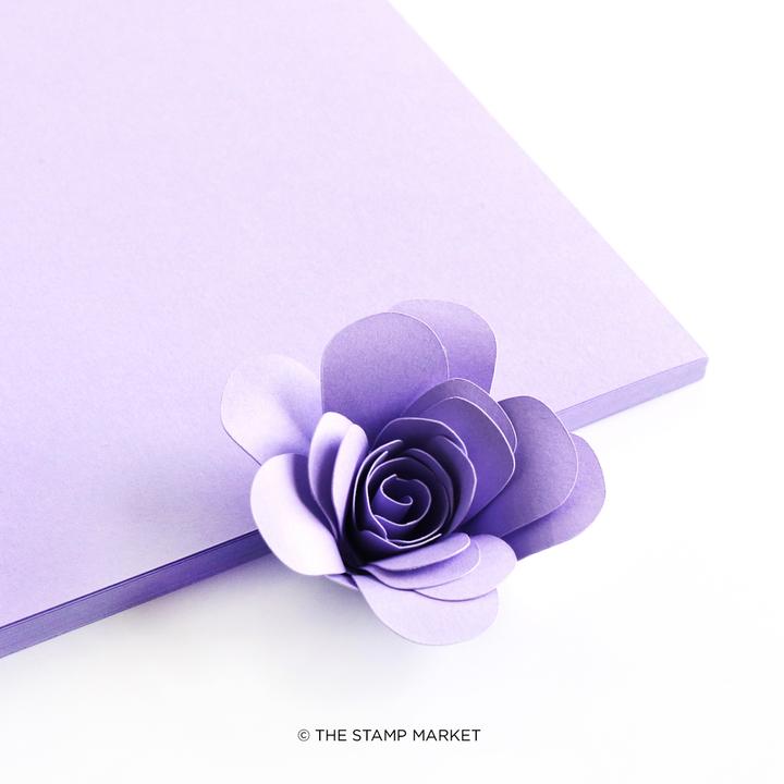 The Stamp Market - Color Crush Cardstock (5 Sheets Each) - Wisteria