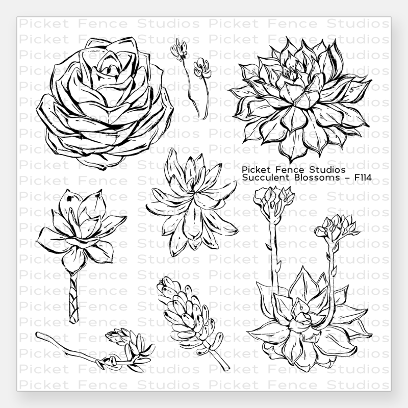 Picket Fence Studios - Succulent Blossoms